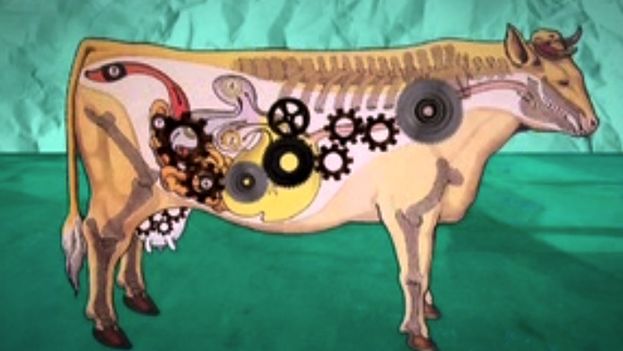 Illustration of a cow. (14ymedio)