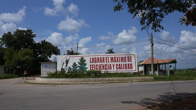 A poster invites farmers to achieve maximum efficiency and quality. (14ymedio)