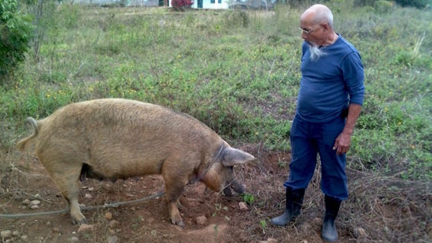 Eduardo Diaz Fleitas on his farm.  (14ymedio)