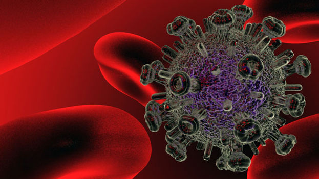 The Human Immunodeficiency Virus. (Flickr)