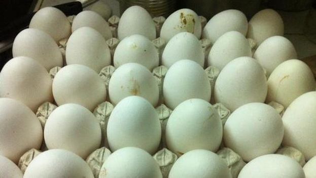 Thirty unit egg cartons (14ymedio)