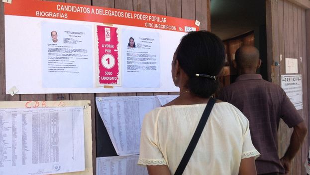 A woman looks at the biographies of the candidates before voting. (14ymedio)