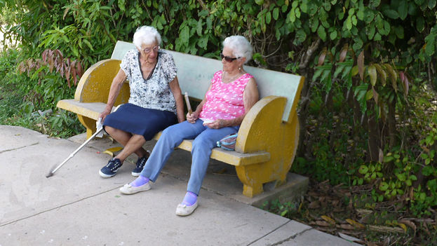 Two elderly women talking. (14YMEDIO)