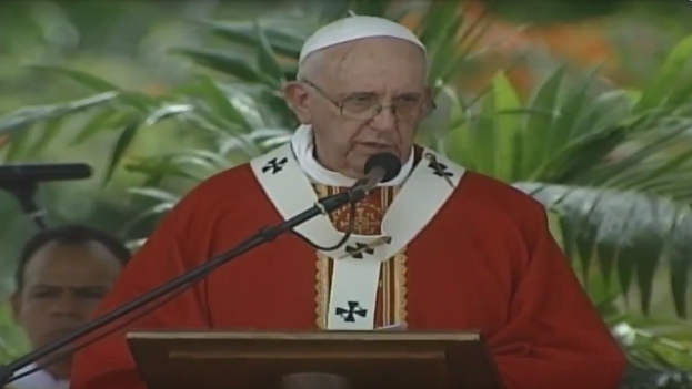 Pope Francis during his homily at the mass he celebrated in Holguín. (screenshot)