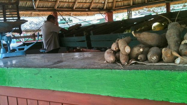 Few product offerings in the State Agricultural Market (MAE) Line in the city of Pinar del Río. (14ymedio)