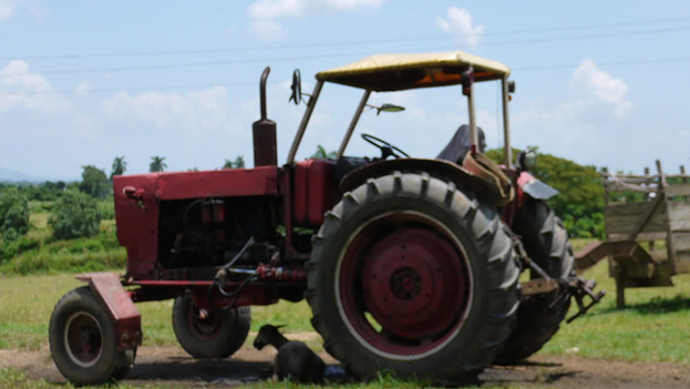 The old tractor on La Isleña farm in San Juan y Martinez, Pinar del Río. (14ymedio)