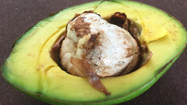 The price an avocado in the informal market ranges between 10 and 15 Cuban pesos each, the salary of an entire working day. (14ymedio)