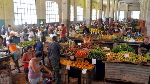 About 10 million people eat the same thing at the same time in Cuba, the few products available in the market. (EFE)