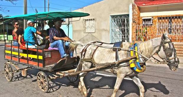 In Santa Clara, as in the other cities and villages in the interior of the island, the horse and cart has become one of the main means of transport. Taken from Carol Kieker's blog. 