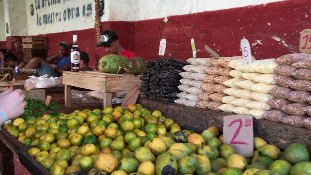 http://translatingcuba.com/wp-content/uploads/2017/07/Mangos-mercado-Habana_CYMIMA20170718_0005_13.png